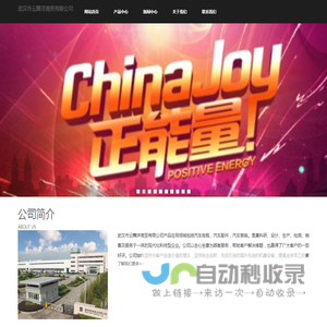 武汉市云舞洋商贸有限公司
