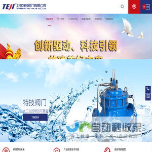 上海特技阀门有限公司