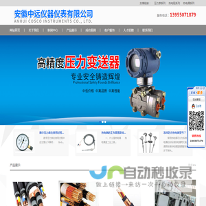 安徽中远仪器仪表有限公司
