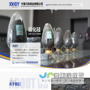 宁夏兴凯硅业有限公司