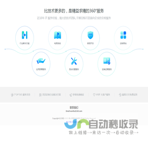 专业IT服务商