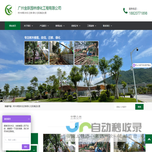 广州树木修剪