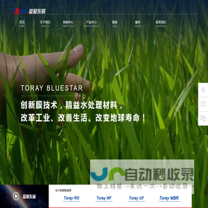 蓝星东丽