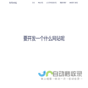 网站开发
