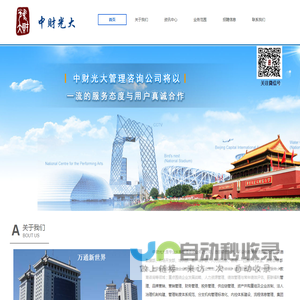 中财光大管理咨询