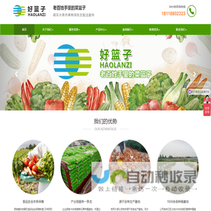 南京好篮子电子商务有限公司
