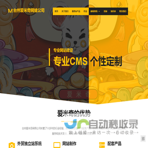 台州爱米奇网络公司