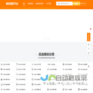 品牌授权