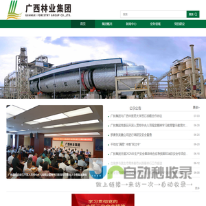 广西林业集团有限公司