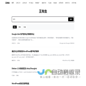 王先生