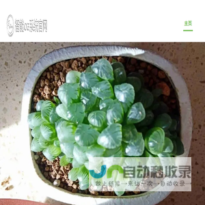 桂林多肉植物网