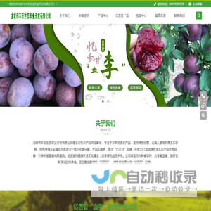 龙岩市丰田生态农业开发有限公司