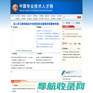 中国专业技术人才网
