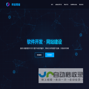 蜂巢网络
