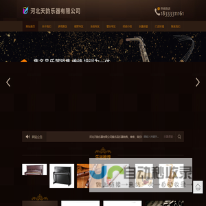 河北天韵乐器有限公司