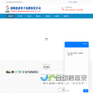铜陵松成电子有限责任公司