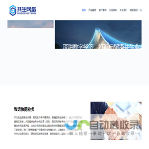 海南共生网络科技有限公司