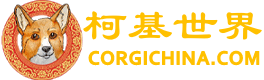 板块