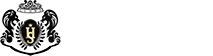 易光半导体激光治疗仪