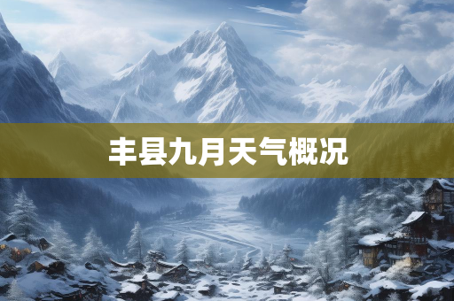 个人气候总结