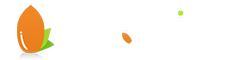 首页