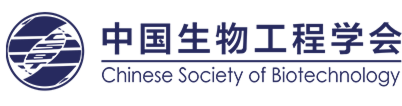首页