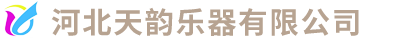 河北天韵乐器有限公司