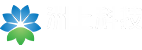 广东洲上科技有限公司