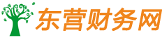 东营注册公司