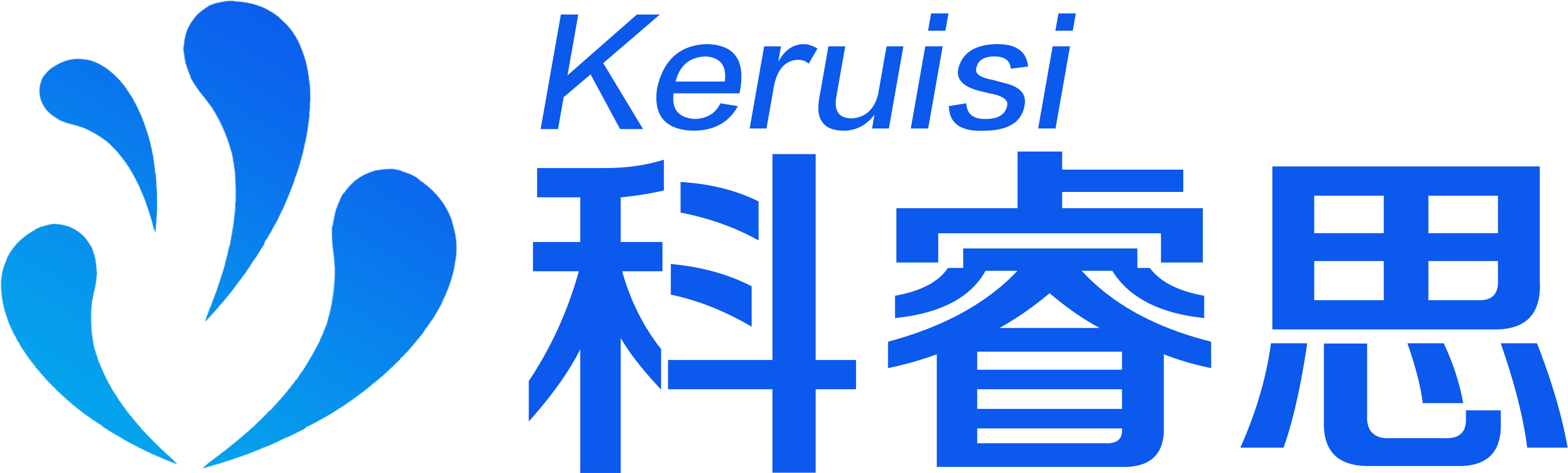 河南科睿思信息技术有限公司