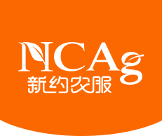 首页