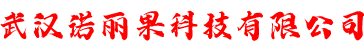 网站建设