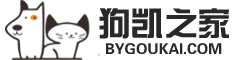 聚合支付