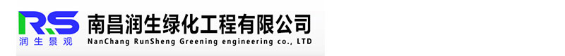 江西绿植墙