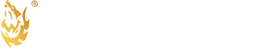 首页