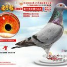 全国房地产门户