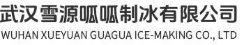 武汉食用冰