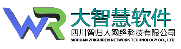 大智慧软件系统专家