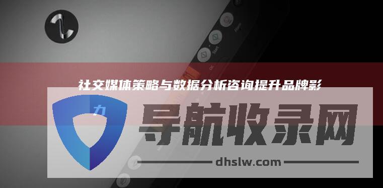 社交媒体策略与数据分析提升品牌影响力