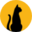 黑猫盒子官方网站