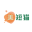 上海美短猫工作室官网