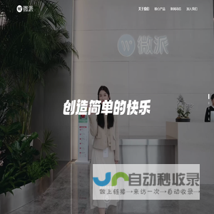 微派网络