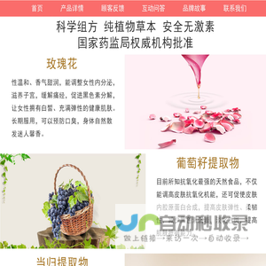 王子怡个人作品展示