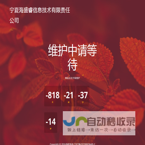 宁夏海盛睿信息技术有限责任公司