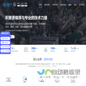 软件开发