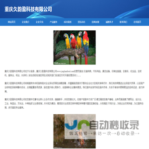 重庆久韵盈科技有限公司