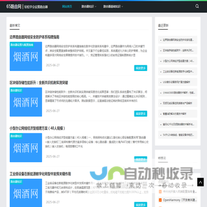 65路由网