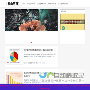 破壁灵芝孢子粉多少钱一斤及功效与作用