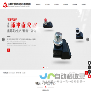 脉冲点火器