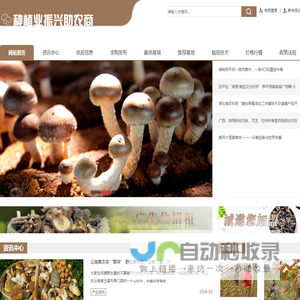 种植业振兴助农商